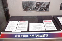 画像　常設展