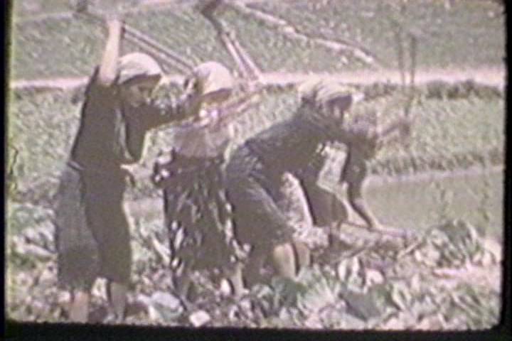 投降する地元民、農作業をする地元民　1945年4月4日-18日