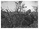 第77師団第305連隊真栄平南西、85高地攻略 琉球列島沖縄島 1945年6月22日